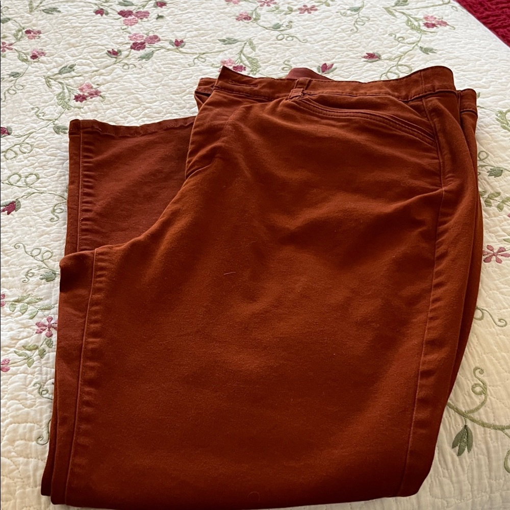 Christopher & Banks Men's Burnt Orange Chinos